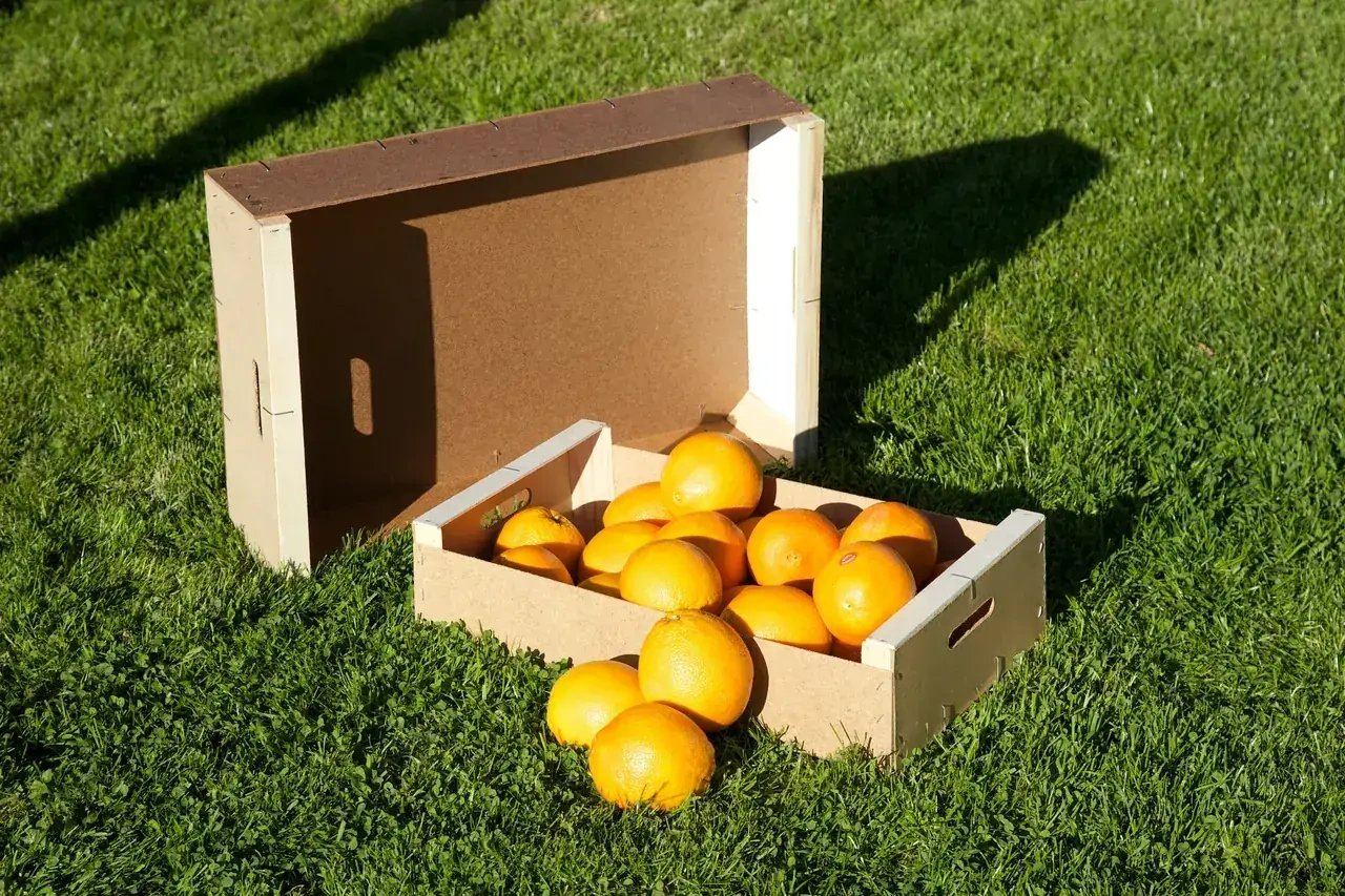 Hardboard fruit crate packaging application